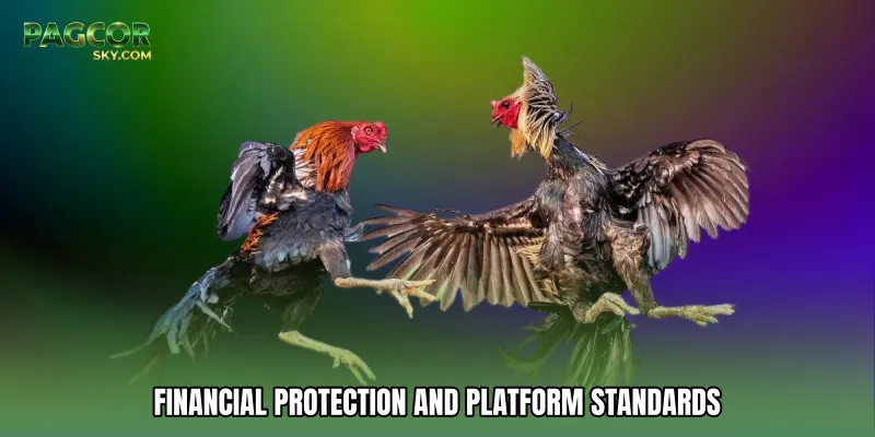 Financial Protection And Platform Standards
